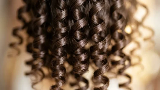 Close-up macro view of defined spiral curls showing natural hair texture and light reflection