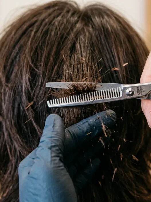 Professional stylist's hands using thinning shears on layered hair with fragments falling during precise cutting technique